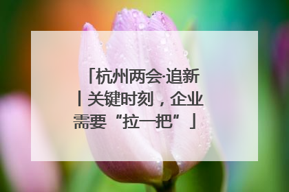 杭州两会·追新丨关键时刻，企业需要“拉一把”